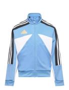 J Np Ttop Adidas Sportswear Blue