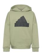 U Fi Logo Hd Adidas Sportswear Khaki