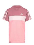 Lk 3S Tib T Adidas Sportswear Pink