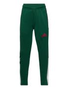 J Np Tiro Pant Adidas Sportswear Green