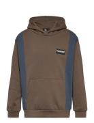 Hmlallton Hoodie Hummel Brown