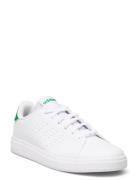 Advantage Base 2.0 J Adidas Sportswear White