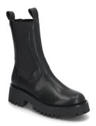 Disclose Ankle Boots Steve Madden Black