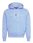 Tommy Logo Hoody Tommy Hilfiger Blue