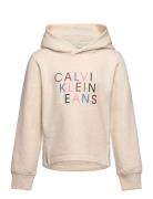 Colour Logo Fleece Hoodie Calvin Klein Cream