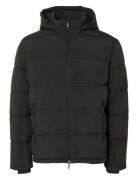 Slhcooper Puffer Jkt Noos Selected Homme Black