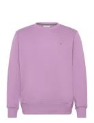 Reg Shield C-Neck Sweat GANT Purple