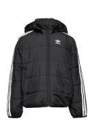 Padded Jacket Adidas Originals Black