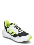 Fortarun 3.0 J Adidas Sportswear Green