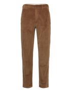 Chuck Regular 8-Wales Corduroy Chin Knowledge Cotton Apparel Brown