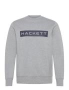 Hs Essential Sp Crew Hackett London Grey