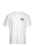 Dickies Companion Tee Ss Dickies White