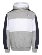 Hooded Sweatshirt Champion Grey