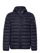 Hooded Jacket Champion Navy