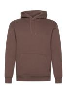 Hco. Guys Sweatshirts Hollister Brown