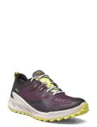 Ke Zionic Wp W-Plum Perfect-Daiquiri Green KEEN Purple