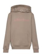 Borg Essential 3 Hoodie Björn Borg Beige