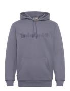 Hampthon Hoodie Folkst Gray Timberland Blue