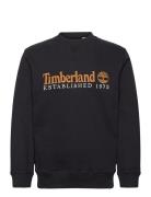 Established 1973 Embroidery Logo Brush Back Crew Neck Black Timberland...