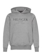 Big Hilfiger Hoody Tommy Hilfiger Grey