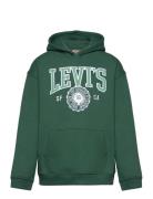 Levi's® Sporty Pullover Hoodie Levi's Green