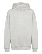 Dexter Hoodie Kids Les Deux Grey