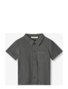 Paco Ss Shirt Fliink Grey