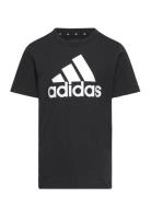 U Bl Tee Adidas Sportswear Black