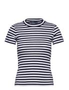 Striped Ribbed Cotton Crewneck Tee Polo Ralph Lauren Blue