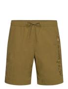 Beachshort Champion Green