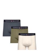 3P Trunk Tommy Hilfiger Green