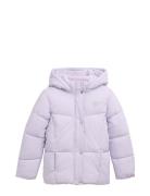 Puffer Jacket Tom Tailor Purple