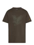 Graphic Eagle T-Shirt Lyle & Scott Green