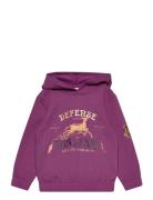 Sweats Harry Potter Purple