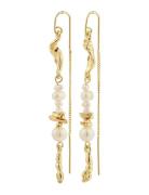 Intent Chain Earrings Pilgrim Gold