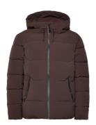 Wbjoseph Tech Jacket Woodbird Brown