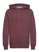 Centre Hoodie Björn Borg Burgundy