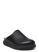 Sl Ivy Leather Black Scholl Black