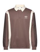 Rugby Shirt Adidas Originals Brown