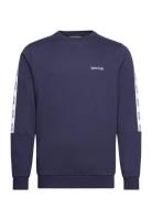 Tape Crewneck Lyle & Scott Sport Navy