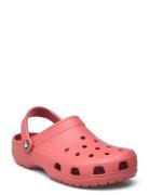 Classic Crocs Pink