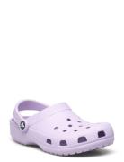 Classic Crocs Purple