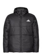 Bsc 3-Stripes Hooded Insulated Jacket Adidas Sportswear Black