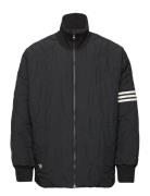 Neuclassics Jkt Adidas Originals Black