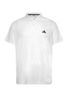 Adidas Train Essentials Training Polo Shirt Adidas Performance White