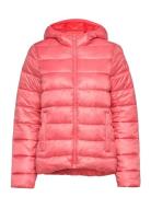Hooded Polyfilled Jacket Champion Pink