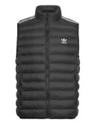 Padded Vest Adidas Originals Black