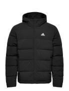 Helionic Ho Jkt Adidas Sportswear Black