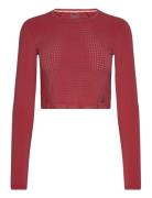 Adv Hit Cropped Top W Craft Red