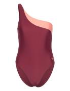 Womens Asymetric 1 Piece Speedo Burgundy